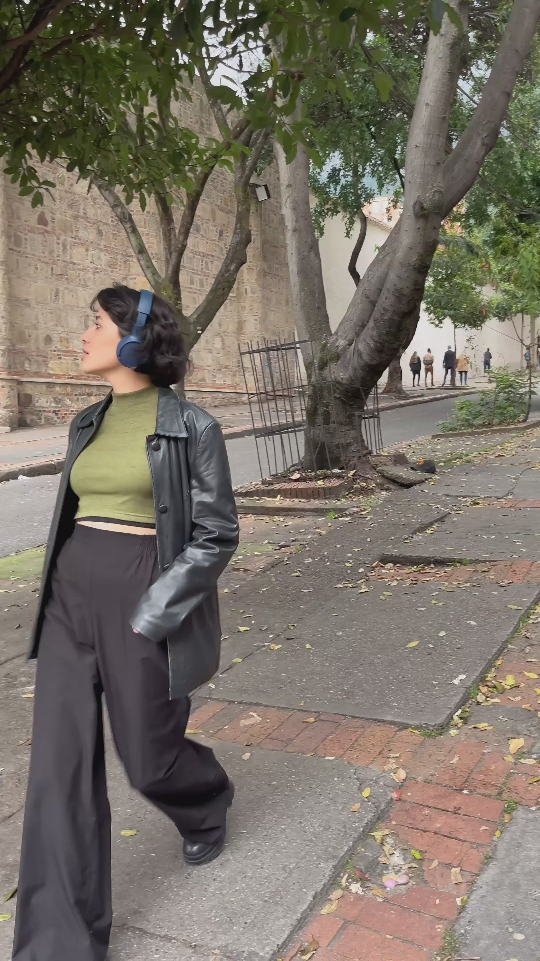Cargar video: 